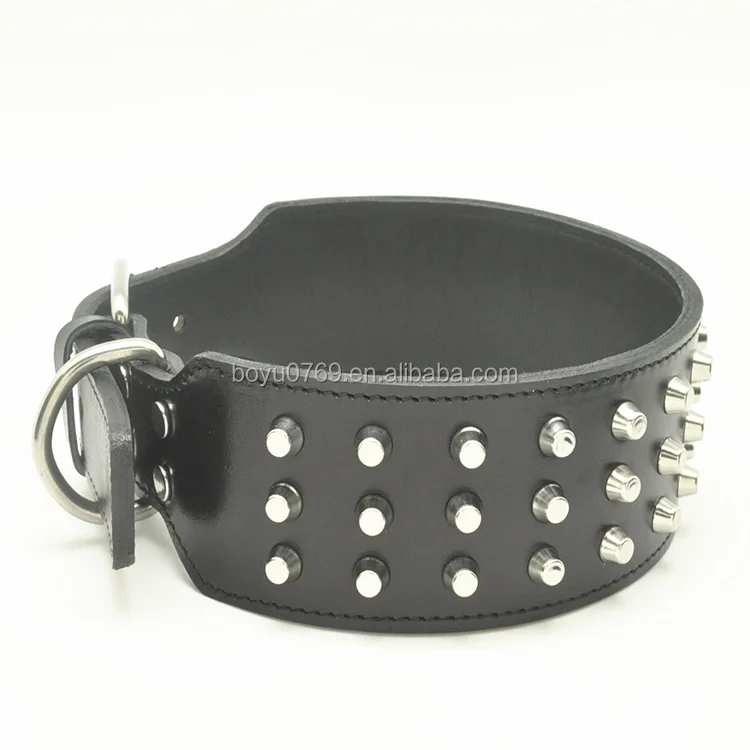 studded leather dog collars