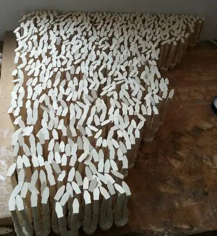 36020150921104515312.jpg