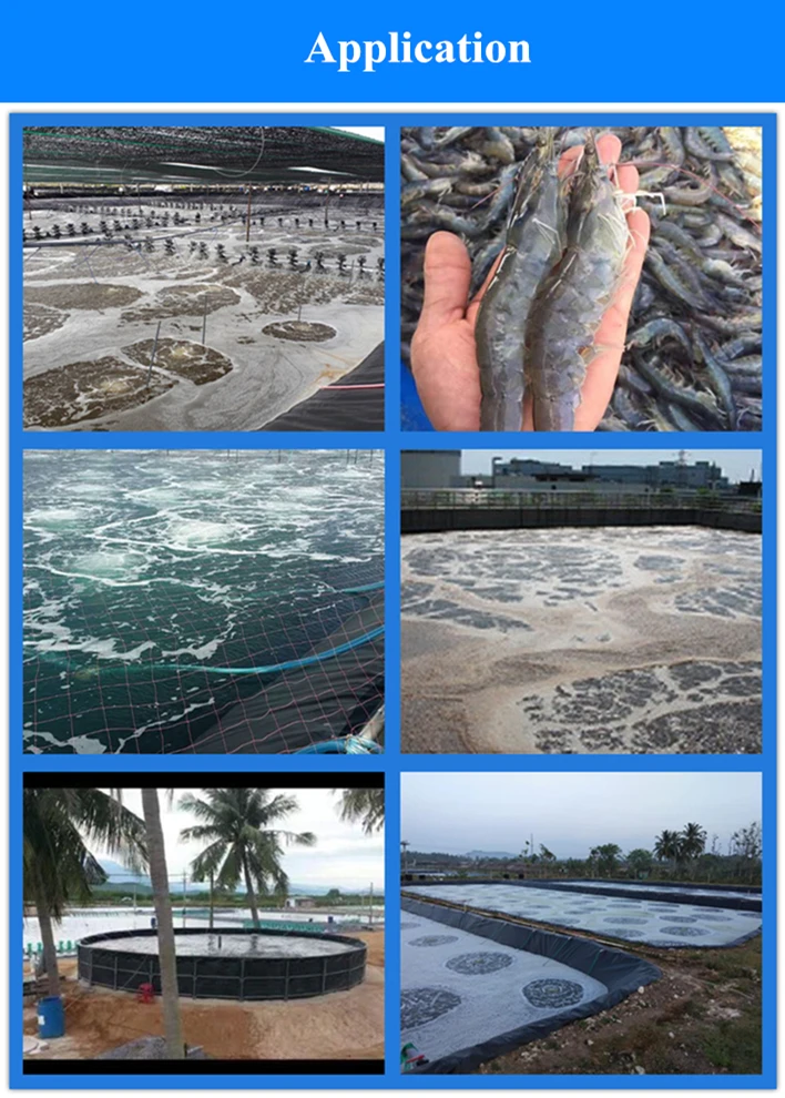 Nano Mangueira Aero Tube diffuser for aquaculture