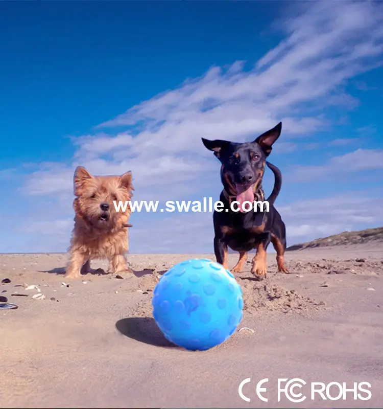 robotic ball for dogs