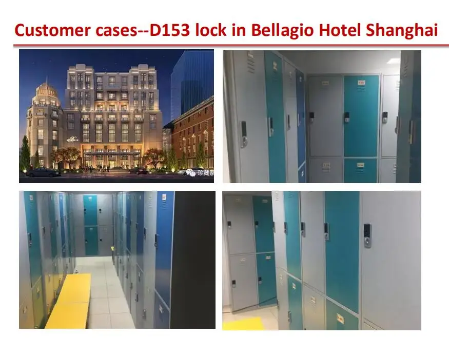 D153 for Bellagio Hotel.jpg
