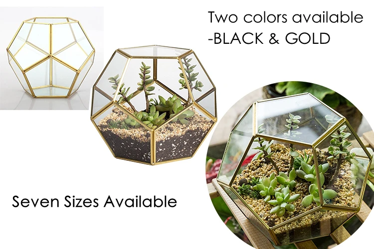 Tabletop Planters Pot Black Pentagon Geometric Glass Terrarium Globe Container