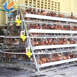 Chicken Layer Cage Chicken Layer Cage Suppliers And Manufacturers