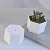 Best selling hexagon white ceramic succulent pots for wholesale