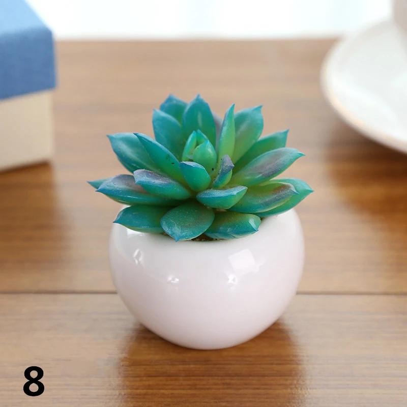 White Ceramic Potted Artificial Plastic Small Succulent Plants Outdoor Plants Buy Small