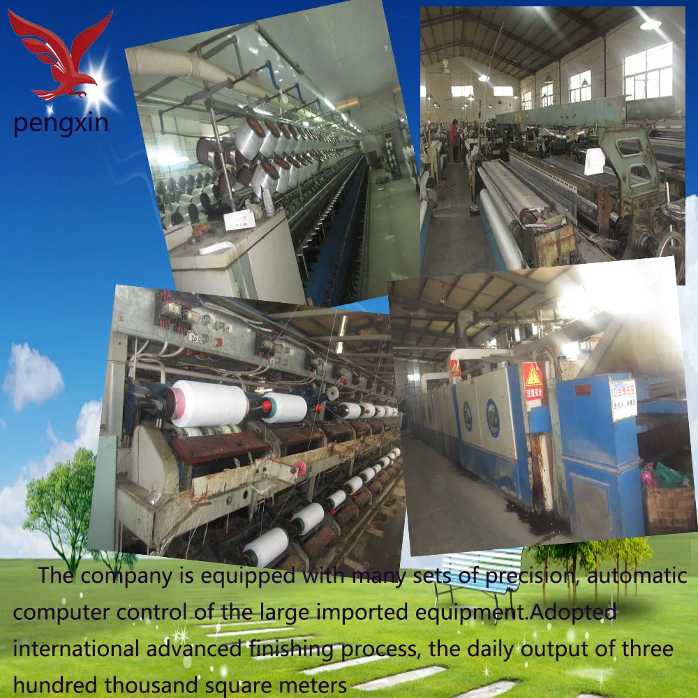 China supply roll up mosquito net/ folding window screen