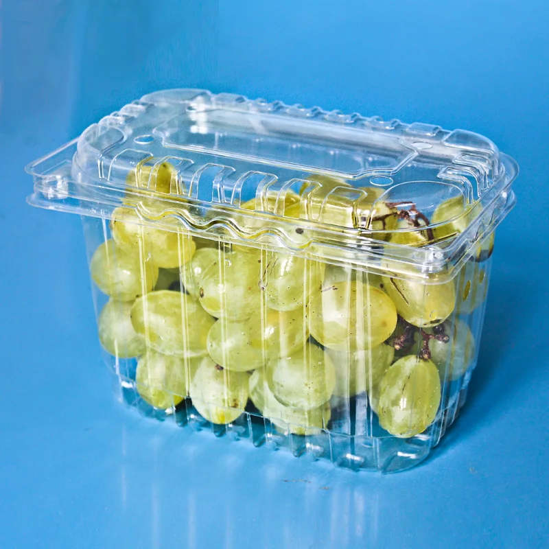 500g Fruit Container Plastic Grape With Lid Buy Plastic Grape