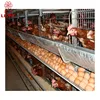 High quality poultry equipment H type chicken layer cage design
