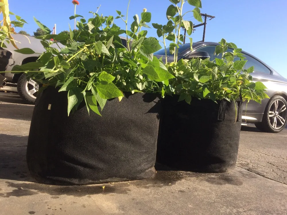 50 Gallon Grow Bags Buy 50 Gallon Grow Bags,50 Gallon Grow Bag,Grow