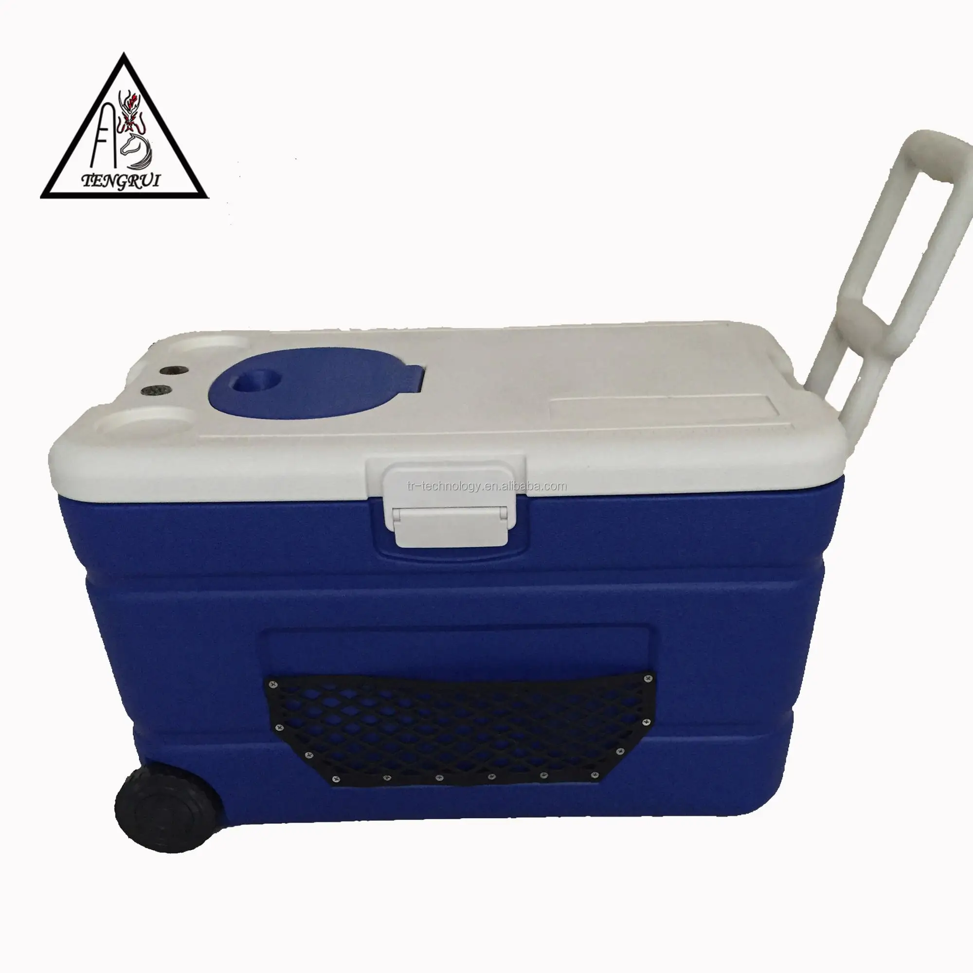 60l Good Quality Plastic Insulation Cooler Box With Handle,Camping