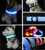 waterproof led dog collar remote control led flashing dog collar pet care product