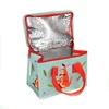 Custom large thermal insulated lunch box free sample cooler tote heat preservation bag
