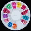 12 Color 3D flower nail art Dried Dry Flower Nail Art Wheel Decoration Manicure Tips