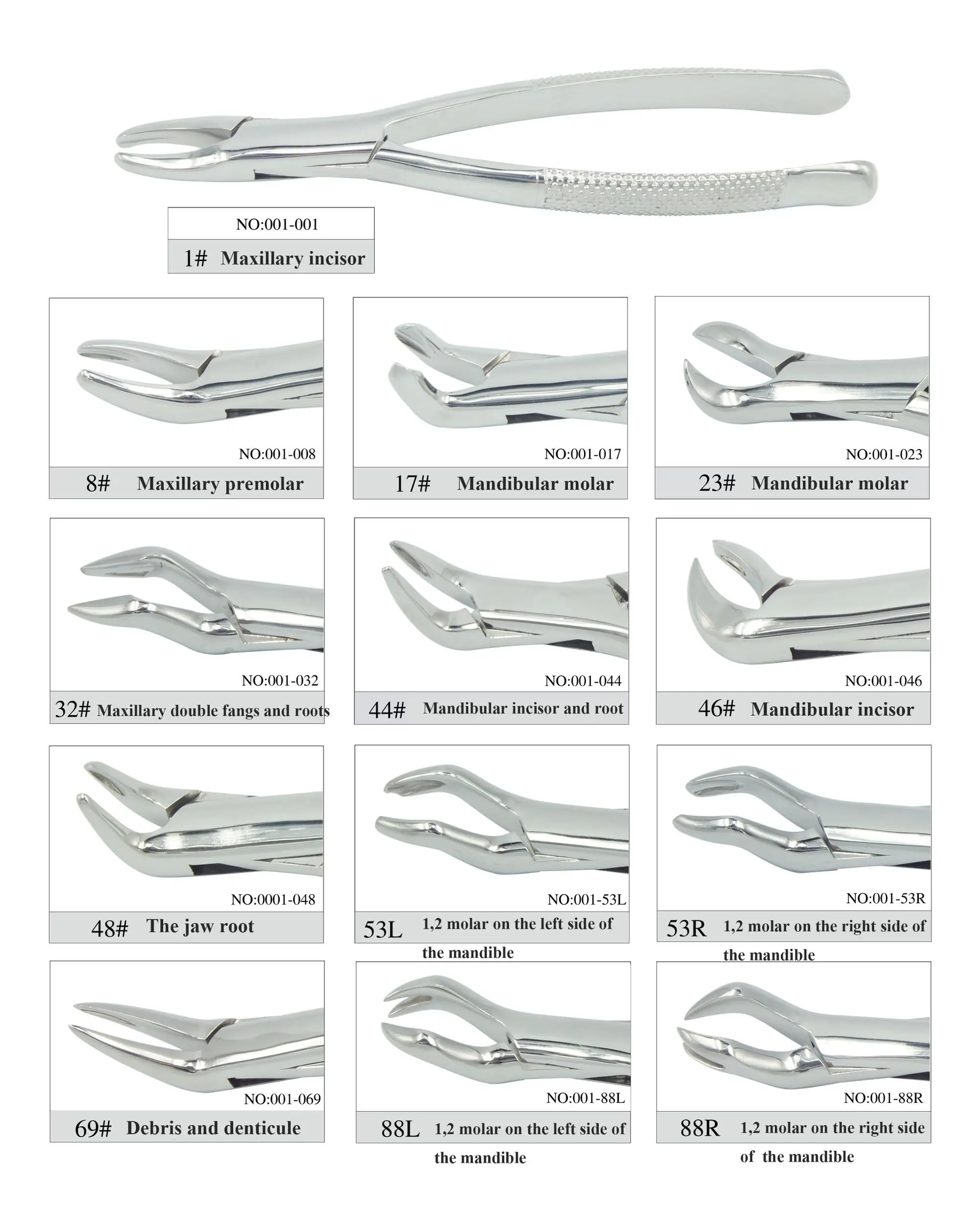 Dental Tooth Forceps Dental Instruments Adult Tooth Extraction Pliers