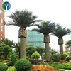 Find Complete Details about artificial Plants Plastic Palm tree