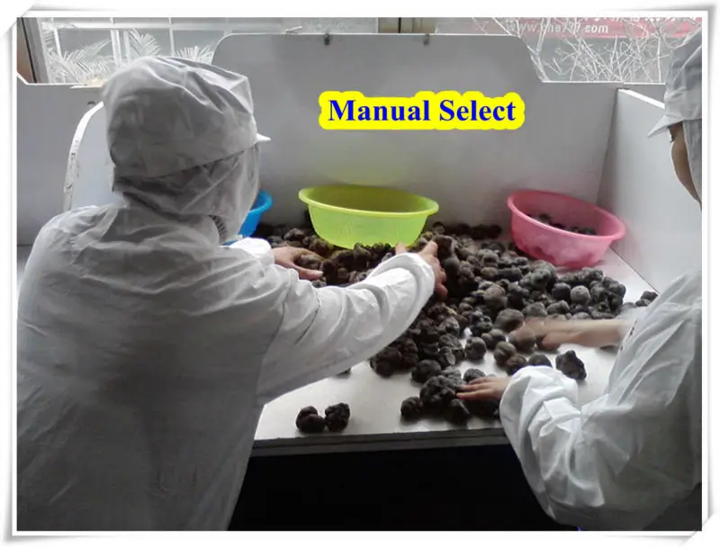 manual select 3.jpg