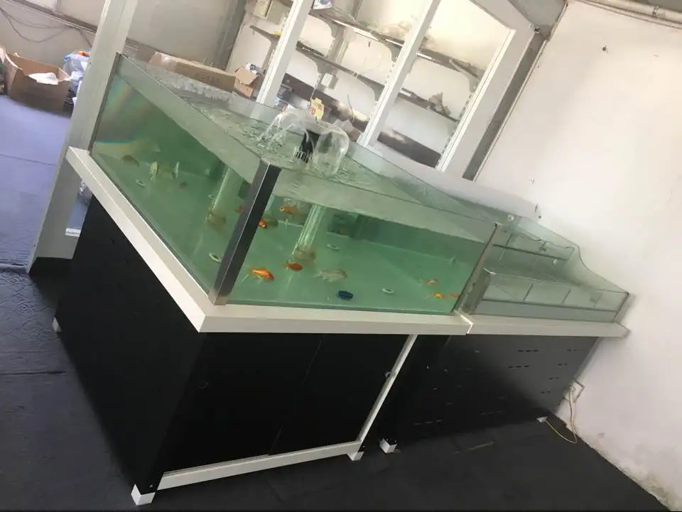 2017 Hot Sale Supermarket Large Commercial Fish
