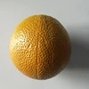 toys new arrivals 2018 chinese toy manufacturers rhythm tech fruits shaker lemon