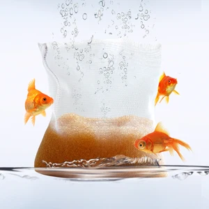 Fish Discus Fish Discus Suppliers And Manufacturers At Alibaba Com