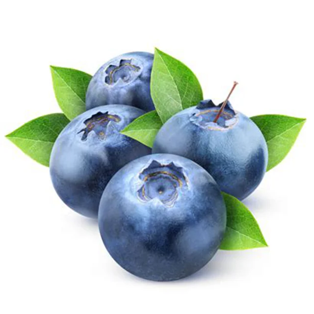 nursery plant blueberry fruit seedling