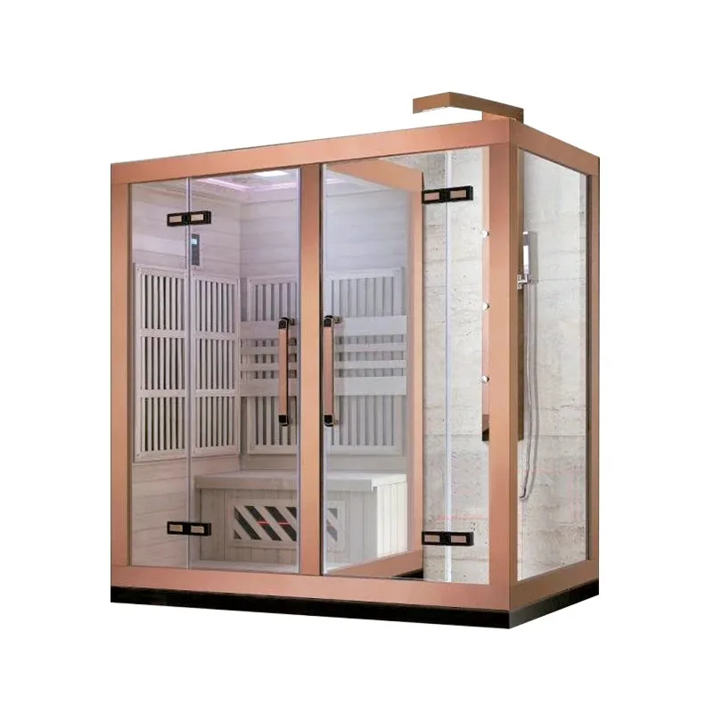 Modern Luxury Dry&wet Sauna Combination Room,2 Person Sauna And Steam