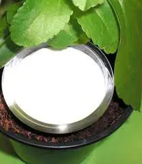 Stevia Extract 4