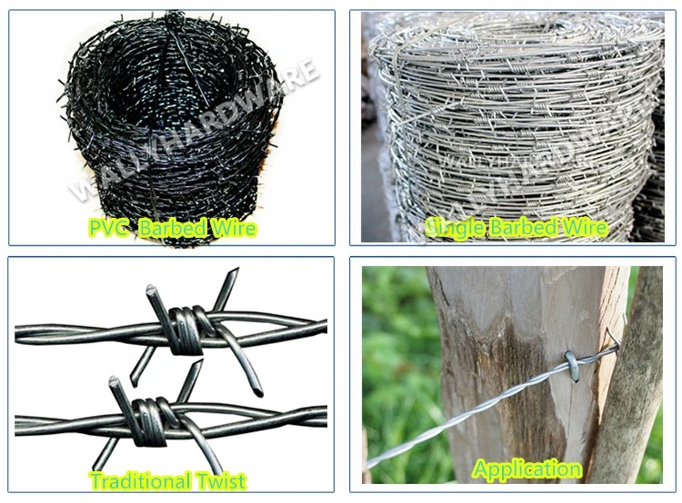 4 Point Galvanized Double Twist Security Barbed Wire Price per Roll