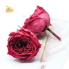 Preserved David Austin Roses Heads Eternal Rose Flowers for materials flower dried rose buds making