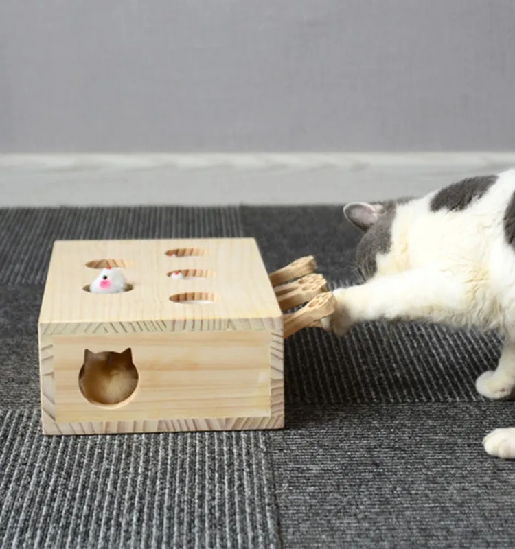 diy whack a mole cat toy