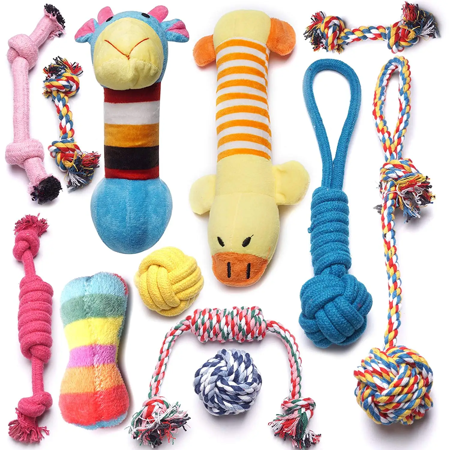 rope teddy dog toy