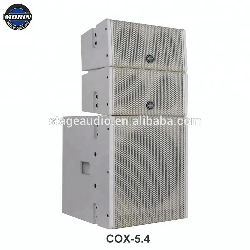 Professional Dual 12 Inch Line Array Speakers For Stage Performance(8+2