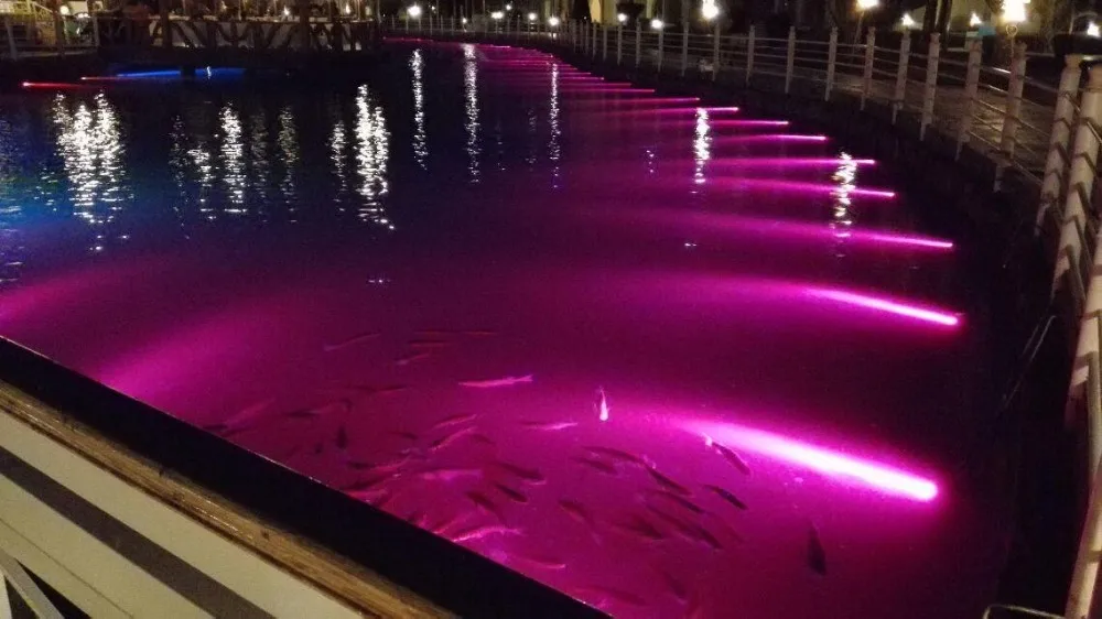 Underwater outdoor led fountain swimming pool light changable &single