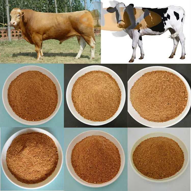 Протеин корова. Корма для коров. Кормовые добавки для животных. Корм для крупного рогатого скота. Кормовой белок для животных.