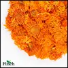 FT-006 Dried Marigold or Calendula Wholesale Scented Flavor Flower Herbal Tea