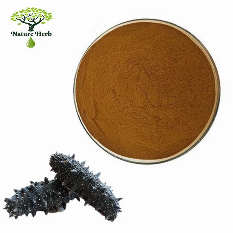 Supply Best Dried Sea Cucumber Extract Powder Buy Sea Cucumber