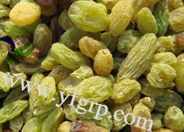 380_63933_b757dca97181af5_conew1