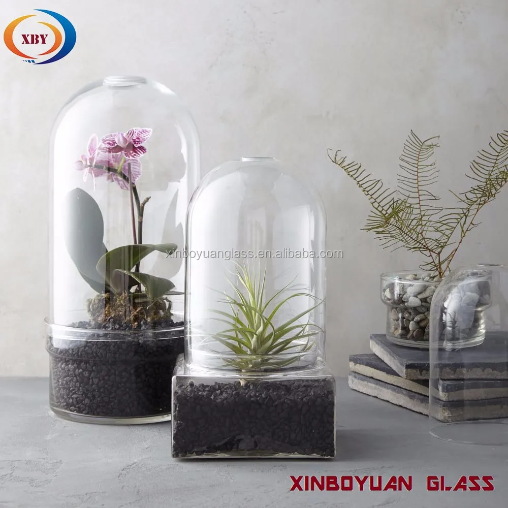 Gl Cloche Bell Jar Plant Terrarium Gl Cloche Bell Jar Plant Terrarium