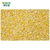 Best selling IQF frozen sweet corn kernels