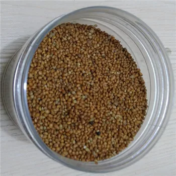 Canary Bird Packets Red Millet Seed - Buy Red Millet Seed,Seed Packets