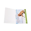 Musical audio gift card with sound module