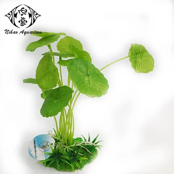 Wholesale Aquarium Fish Tank Water Grass Fake Aquatic Plants