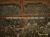 spare parts dies and rollers on pellet machine