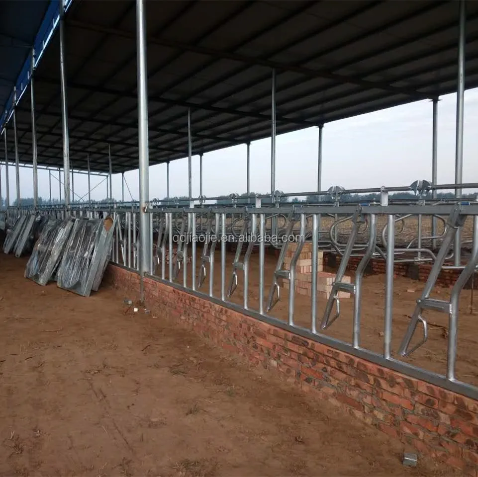 Factory Price Headlock Feeder Galvanized Cattle Used Cow Headlocks
