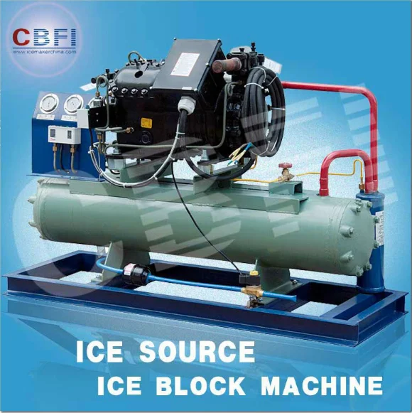 product-Guangzhou ice factory used in Libya block ice machine with 1000pieces block ice per day-CBFI-1