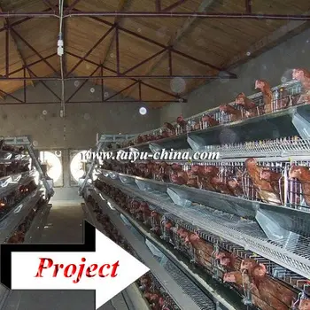 Taiyu Desain Ayam Petelur Kandang Untuk Hen Pertanian Penuh