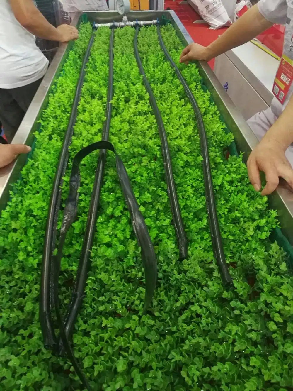 Inline Round Dripper Drip Irrigation Tape/pipe Making Machine With