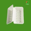 Quality assure 100% sugarcane fiber biodegradable dry fruit packing tray
