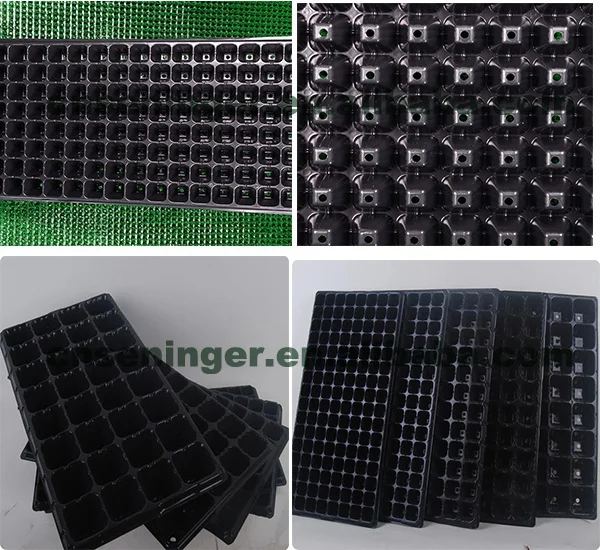 products picture_2345.jpg