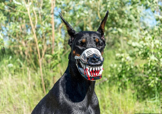 scary dog muzzle for sale