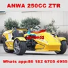 /product-detail/high-quality-cheap-250cc-atv-reverse-trike-trike-roadster-60716345061.html